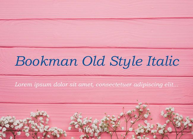 Bookman Old Style Italic example
